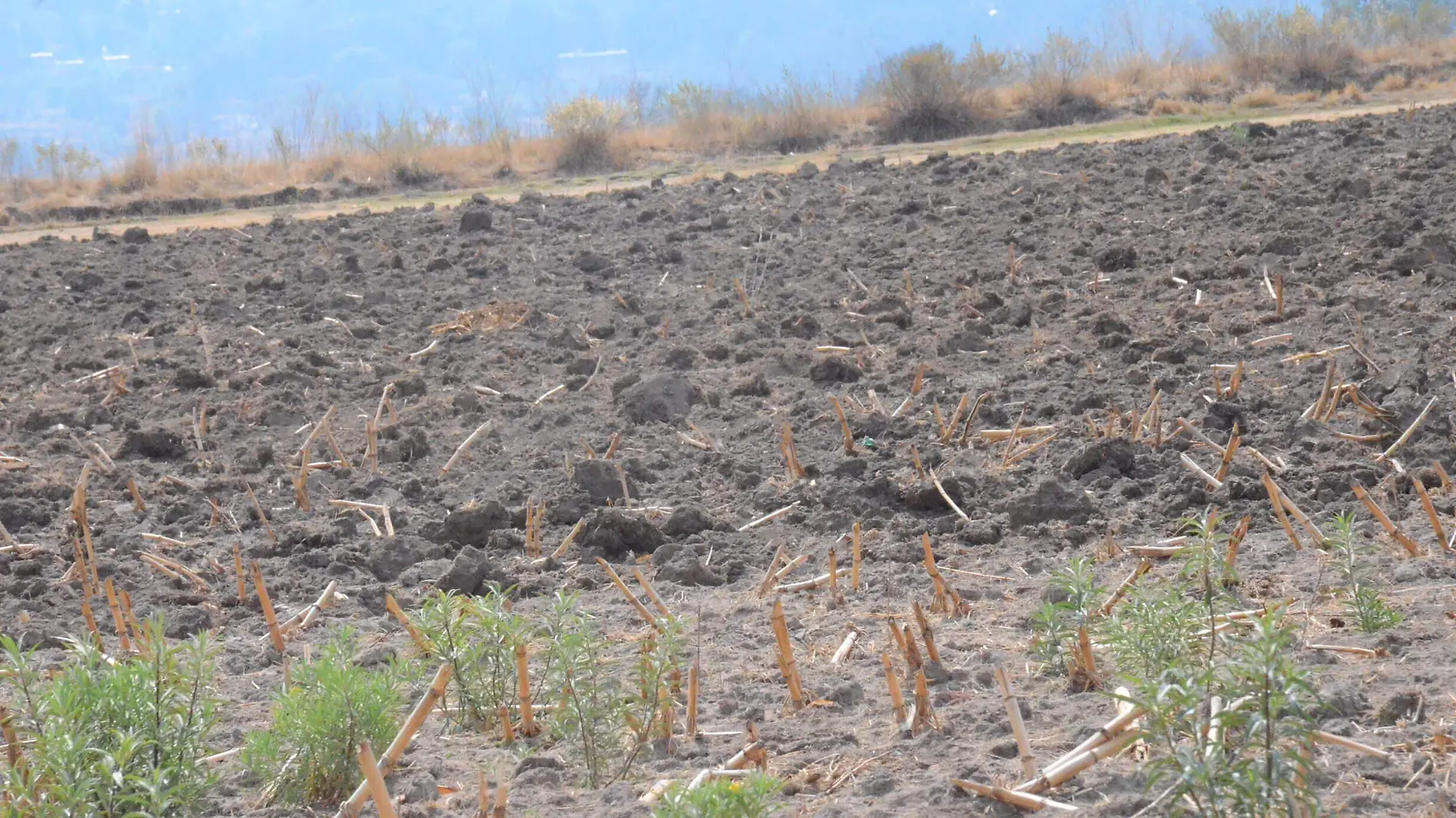 SJR Campo se encuentra en el abandono